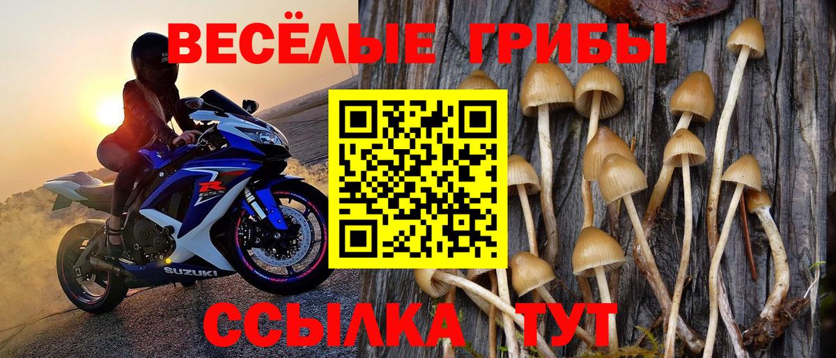 Псилоцибиновые грибы MAGIC MUSHROOMS Алейск