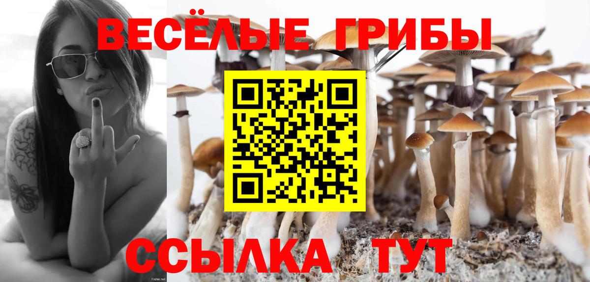 Алейск  Псилоцибиновые грибы MAGIC MUSHROOMS  Галлюциногенные грибы Cubensis  Вход с VPN 